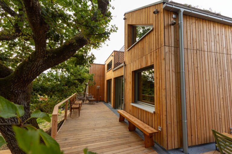 Haus Wipfelbett von Minimalus mit Holzfassade und Terrasse an einer alten Eiche