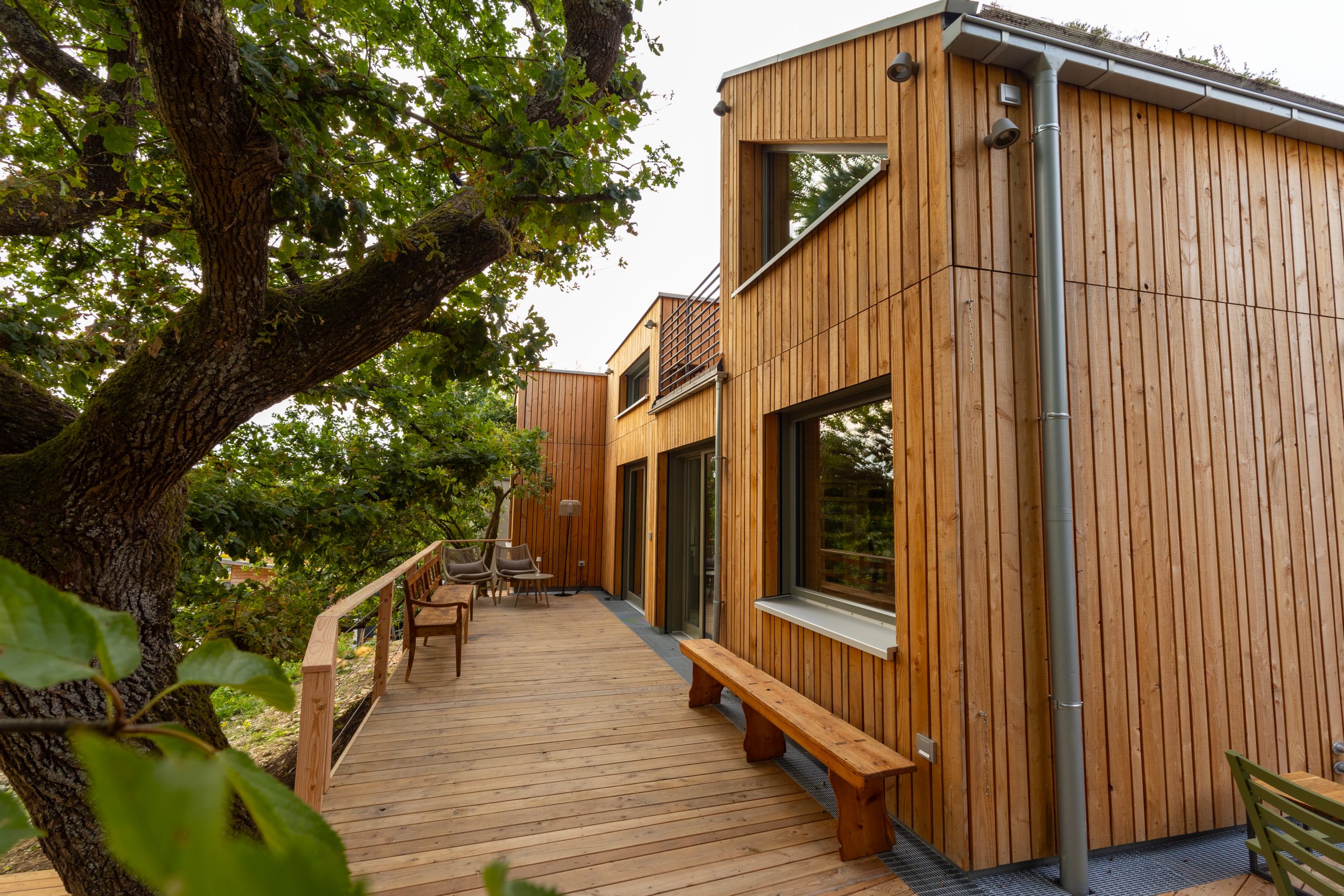 Haus Wipfelbett von Minimalus mit Holzfassade und Terrasse an einer alten Eiche